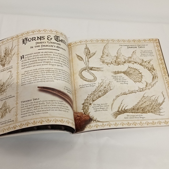 The book of Dragons secrets of the Dragon Domain paper cover book EUC. - Picture 3 of 5